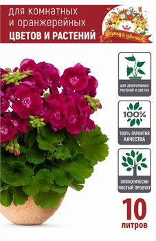 Грунт для комнатных и оранжерейных цветов Царица цветов, 10л 90715 - фото 103438