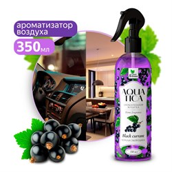 Ароматизатор воздуха Черная смородина Clean&Green CG8269, жидкий, 250мл, триггер 85017 - фото 104181