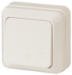 Выключатель ЭРА Intro Quadro 2-101-02, одноклавишный, накладной, слоновая кость 49871 - фото 106542