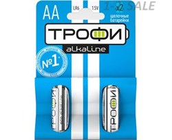 Элемент питания (батарейка) ТРОФИ BASIC LR6/316 BL2, пальчиковый, щелочной, 1.5В, 2шт. в блистере 84709
