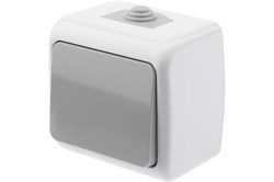 Выключатель INTRO Atlantic 5-101-03 10А-250В, одноклавишный, накладной, серый, влагозащищенный 82000