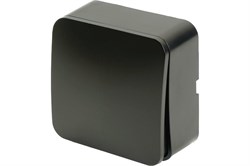 Выключатель STEKKER София MSW10-10-05, одноклавишный, накладной, черный матовый 86912