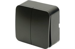 Выключатель STEKKER София MSW10-20-05, двухклавишный, накладной, черный матовый 86913