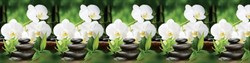 Фартук кухонный Белая орхидея, 3000х600х1.5мм, пластик АВС, термопечать - фото 14953