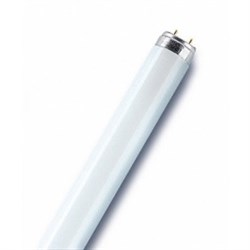Электрическая лампа люминесцентная OSRAM 18W/765 G13 дневной цвет - фото 20931