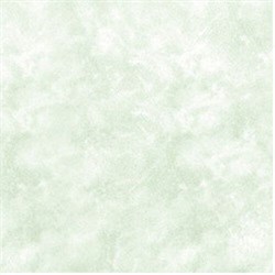 Плитка  потолочная экструзионная Лагом декор Формат 4602, 50x50см, пенополистирол, зеленая, упаковка 8шт. (2м2) - фото 29482