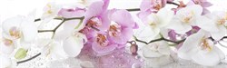 Фартук кухонный Ветка орхидеи, 3000х600х1.5мм, пластик АВС, термопечать - фото 36863