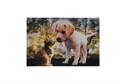 Коврик придверный Vortex Samba Котёнок и щенок, 40x60cм, влаговпитывающий, ПВХ/полиэстер - фото 54678