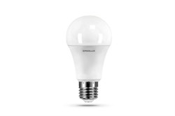 Лампа светодиодная Ergolux LED-A60-17W-E27-6K, 17Вт, 220В, цоколь Е27, 6000К 56690 - фото 58679