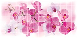 Панель ПВХ Мозаика Орхидея розея, 955х480мм - фото 60369
