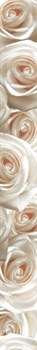 Фриз (бордюр) Березакерамика Камелия, светло-бежевый, 8х54х500мм, сорт 1 - фото 63812