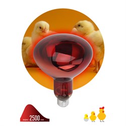 Лампа накаливания ИКЗК 220-225-250 R127, 250Вт, цоколь Е27, инфракрасная, красная - фото 84980
