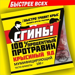 Приманка от грызунов Протравин СГИНЬ! (бромадиолон), 100г, тесто-брикет, пакет 45836 - фото 85899