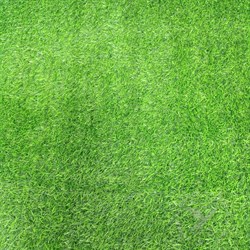 Трава искусственная Флорис MJN9045/7D-462, 2м, ворс 7мм, зеленая, в рулоне 25м, на метраж - фото 86350