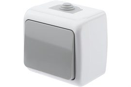 Выключатель INTRO Atlantic 5-101-03 10А-250В, одноклавишный, накладной, серый, влагозащищенный 82000