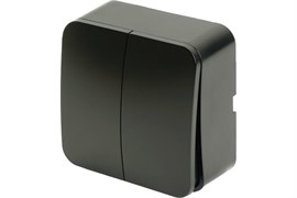 Выключатель STEKKER София MSW10-20-05, двухклавишный, накладной, черный матовый 86913