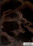 Пленка самоклеящаяся D&B 3195, 450ммх8м, мрамор черный с позолотой, на метраж