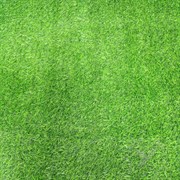 Трава искусственная Флорис YY2.0, 1.6м, ворс 23мм, зеленая, в рулоне 15м, на метраж