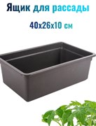 Ящик для рассады Урожай №4, 400x260x100мм, пластиковый, черный