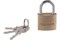 Замок навесной TRODOS  BC-BL5-25, 25мм, латунь, цилиндровый 89096