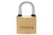 Замок навесной TRODOS BC-BL5-30, 30мм, латунь, цилиндровый 89097