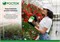 Опрыскиватель садовый Росток РП-2, 2л, ручной, помповый, пластиковый 80675
