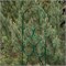 Шпалера садовая Green Line Узорная, 1.33x0.32м, металлическая, зеленая 38490