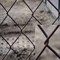 Сетка-рабица плетеная, ячейка 55x55, диаметр проволоки 1.4мм, 1.5x10м, оцинкованная, рулон 57721 Сетка-рабица плетеная, ячейка 55x55, диаметр проволоки 1.4мм, 1.5x10м, оцинкованная, рулон 57721