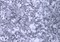 Пленка самоклеящаяся 793А, 900ммх8м, мраморная крошка - фото 39427