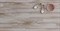 Ламинат KASTAMONU 52 SUNFLOOR "Сосна Тахо", 33 класс, с фаской, 1380х161х8мм, 11шт в упаковке - фото 57104