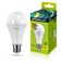 Лампа светодиодная Ergolux LED-A60-25W-E27-3K, 25Вт, 220В, цоколь Е27, 3000К - фото 58683