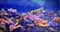 Фартук-панно ПВХ Коралловый риф, 1002х602х5мм - фото 60393