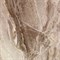 Плитка для пола Березакерамика Анталия G, коричневая, 8х418х418мм, сорт 1 - фото 63657
