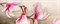 Панно Березакерамика Мираж1, серо-розовое, 8х200х500мм, сорт 1 - фото 63698
