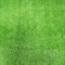Трава искусственная Флорис YY2.0, 1.2м, ворс 23мм, зеленая, в рулоне 15м, на метраж - фото 79059
