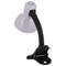 Светильник настольный Uniel TLI-202, 60Вт, цоколь E27, металл/пластик, белый 68684